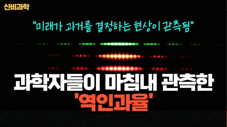 미래가 과거를 결정하는 역인과율